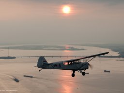 Auster Low res-13
